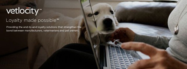 http://Vetlocity.com